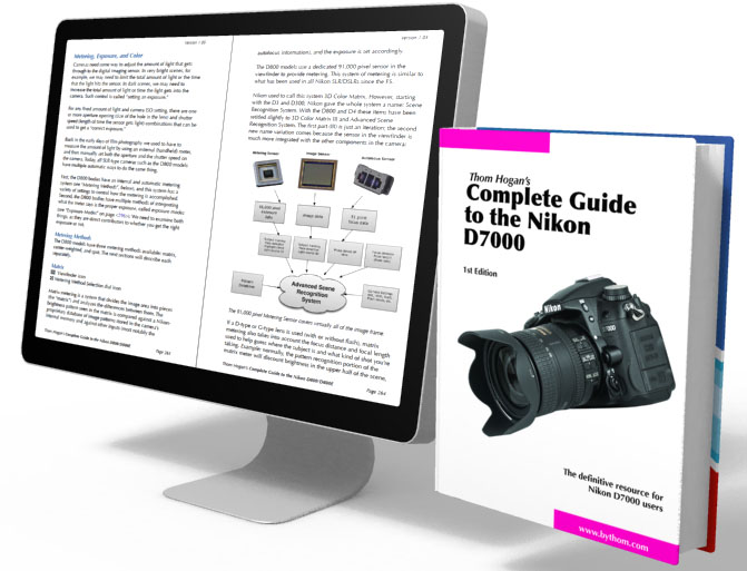book header2.jpg