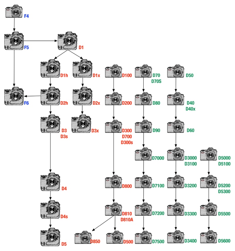 bythom Nikon DSLR lineage